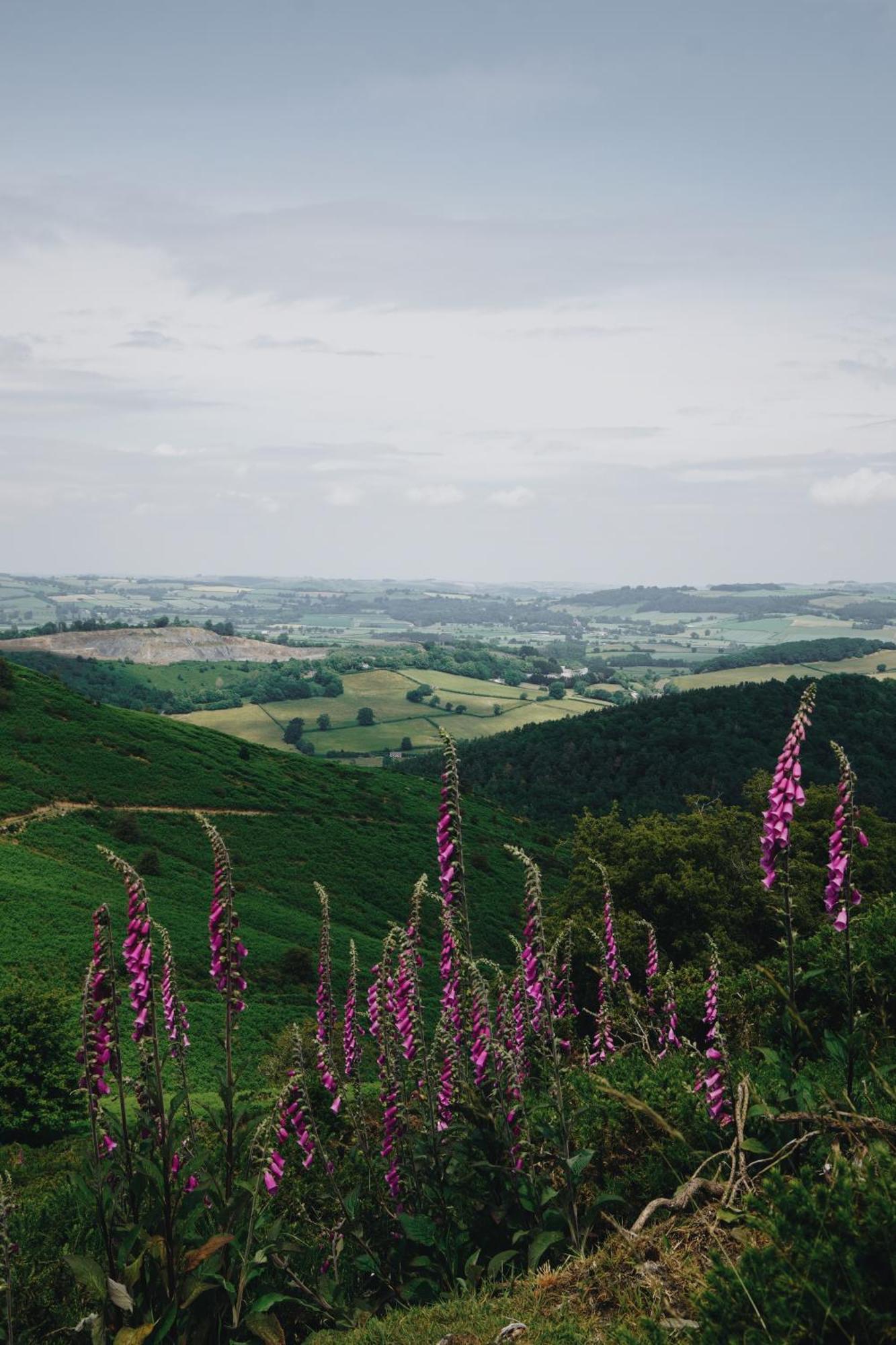 Two Unique Cabins Wrapped In Beautiful Welsh Scenery Presteigne エクステリア 写真