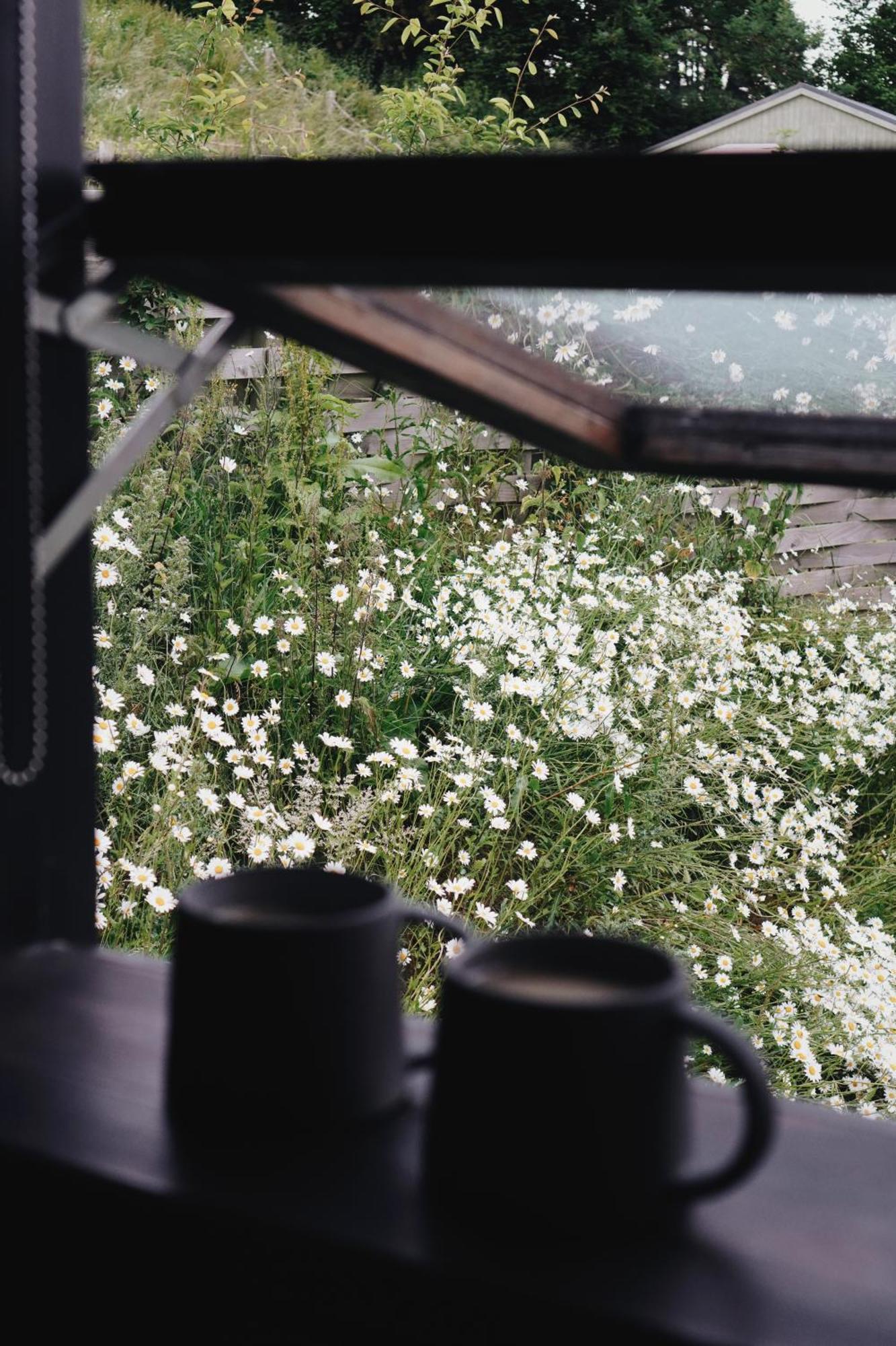 Two Unique Cabins Wrapped In Beautiful Welsh Scenery Presteigne エクステリア 写真