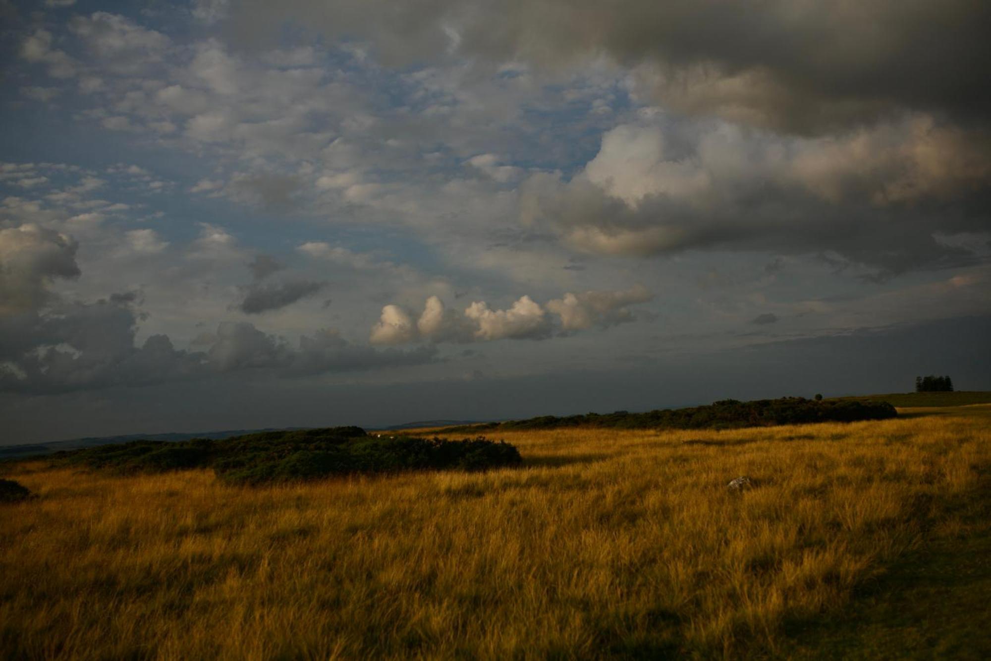 Two Unique Cabins Wrapped In Beautiful Welsh Scenery Presteigne エクステリア 写真