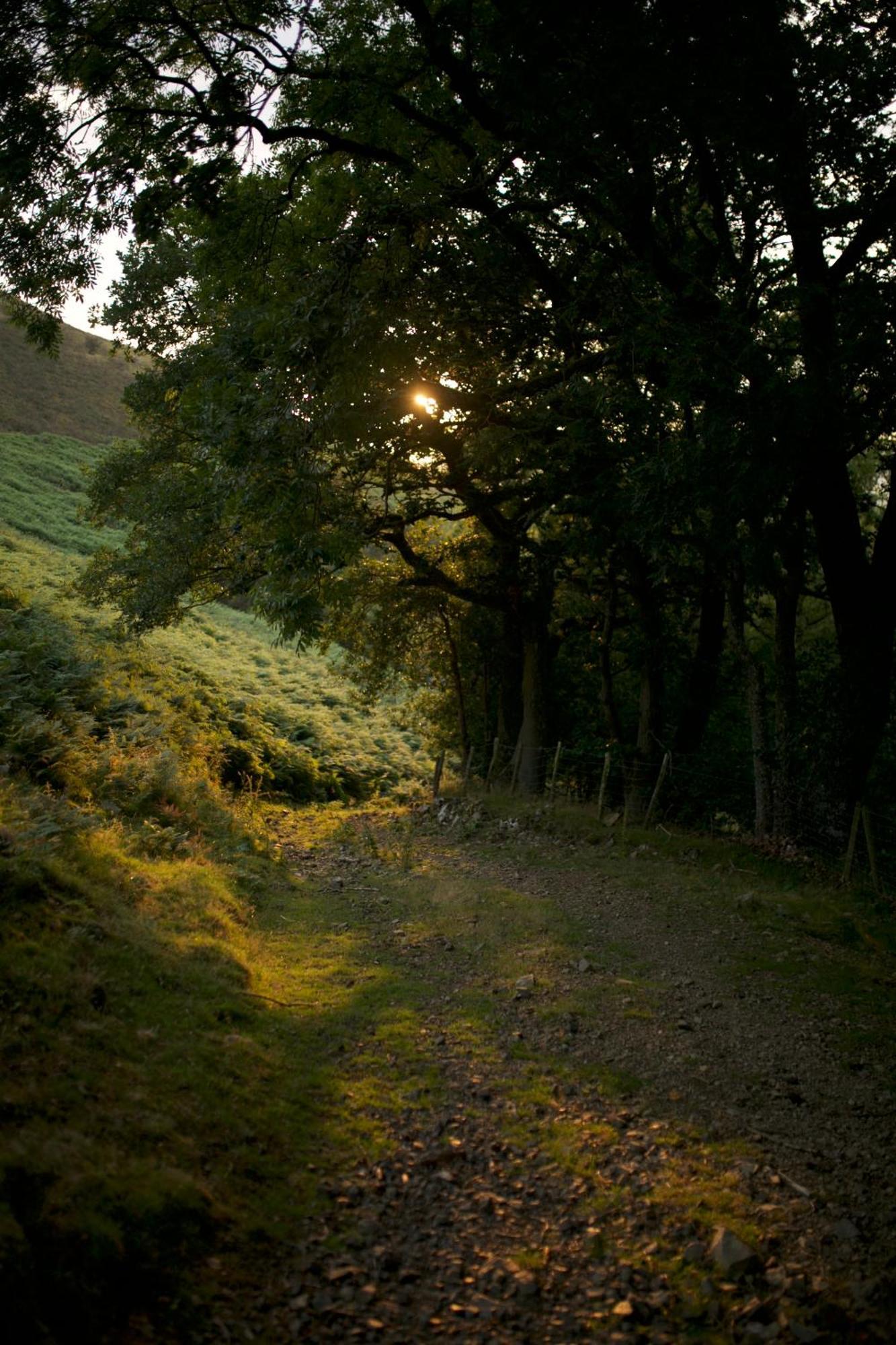 Two Unique Cabins Wrapped In Beautiful Welsh Scenery Presteigne エクステリア 写真