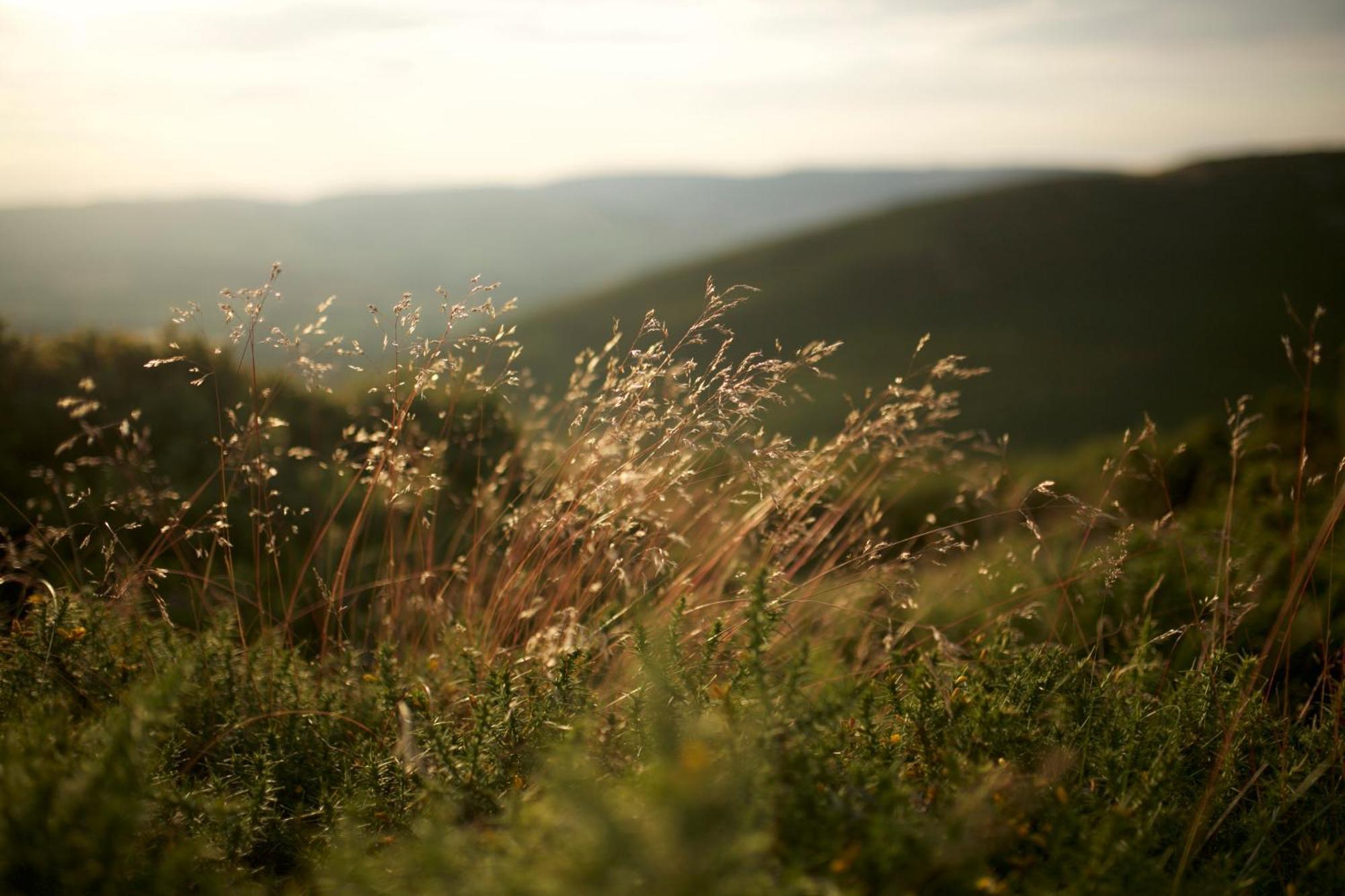 Two Unique Cabins Wrapped In Beautiful Welsh Scenery Presteigne エクステリア 写真