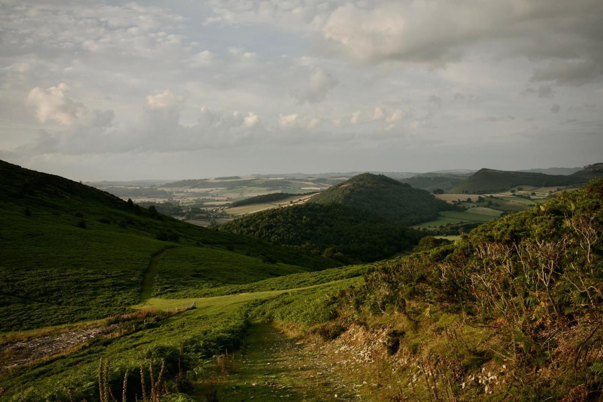 Two Unique Cabins Wrapped In Beautiful Welsh Scenery Presteigne エクステリア 写真