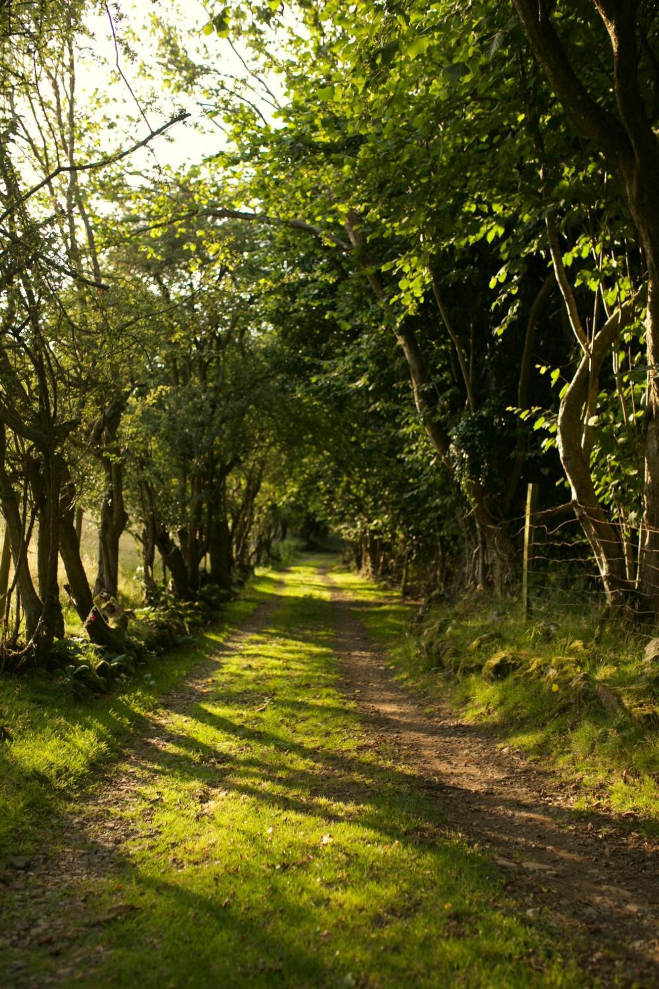 Two Unique Cabins Wrapped In Beautiful Welsh Scenery Presteigne エクステリア 写真