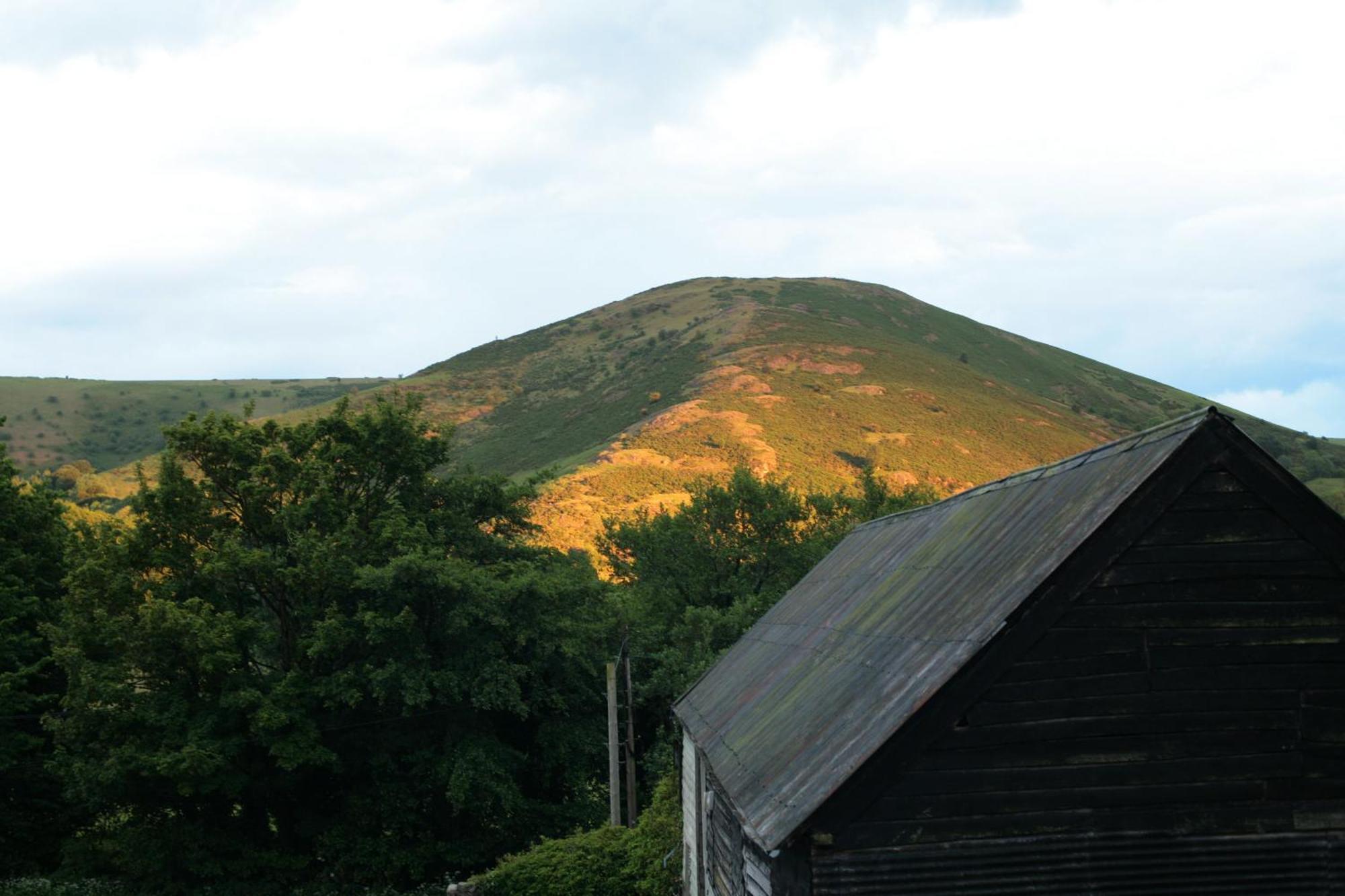 Two Unique Cabins Wrapped In Beautiful Welsh Scenery Presteigne エクステリア 写真